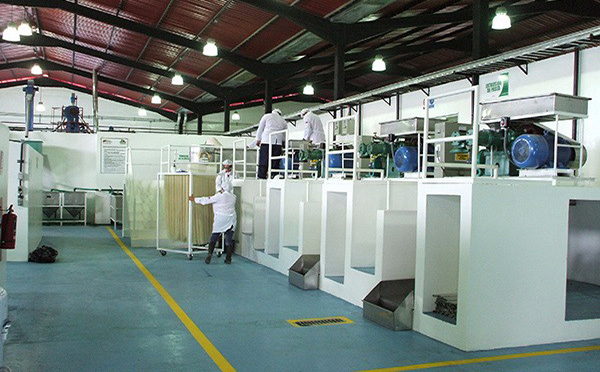 直條（tiáo）米粉生產線