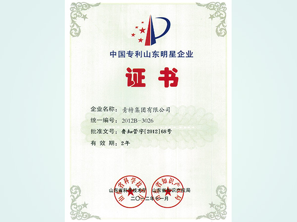 中國專利山東明星企業