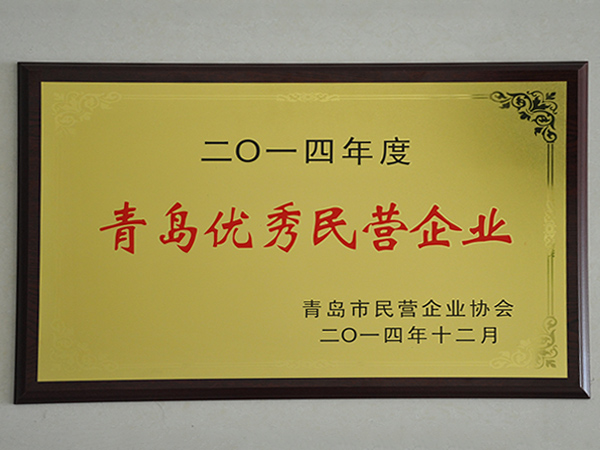 青島優秀民營企業-獎牌